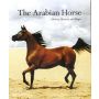 The Arabian Horse.