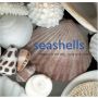 Seashells