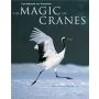 The Magic of Cranes