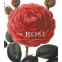 Rose - mini edition