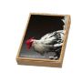 Art Cards: Chicken