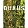 Buxus