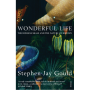 Wonderful Life