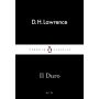 Little Black - 071. D.H. Lawrence