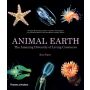 Animal Earth