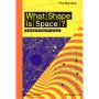 The Big Ideas Series -  The Big Idea: What Shape Is Space?