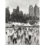 Wollman Rink Central Park