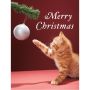 Christmas Kitty Boxed Holiday Full Notecards