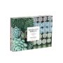 Succulent Garden 2-Sided 500 Piece Puzzle