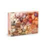 Puzzle: Vibrant Seashells 1000 pieces