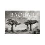 Baobab