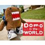 Domo in the World