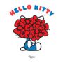 Hello Kitty . Collabs