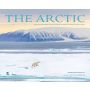 The Arctic