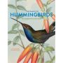 The Family of Hummingbirds