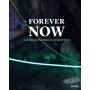 The Forever Now