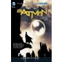 Batman Vol. 6