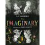 The Imaginary