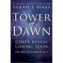 Tower of Dawn