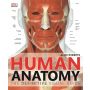 Human Anatomy