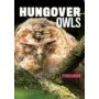 Hungover Owls