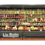 Liu Bolin