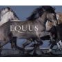 Equus