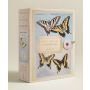 The Butterflies of Titian Ramsay Peale - Notecards