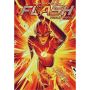 The Flash #1