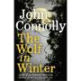 The Wolf in Winter