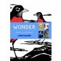 Wonder. Mini Eco-Journal Set