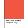 PANTONE: Color of the Year Journal