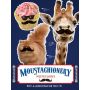 Moustachionery Notecard Set