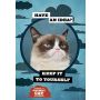 Grumpy Cat Flexi Journal with Stickers