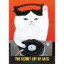 The Secret Life of Cats