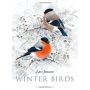 Winter Birds