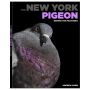 The New York Pigeon. Behind the Feathers