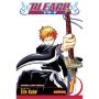 Bleach, Vol. 1