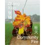 Community Fire