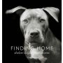 Finding Home