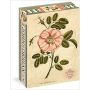 1000 piece Puzzle - John Derian - Garden Rose