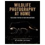 Wildlife Photography at Home