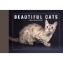 Beautiful Cats Postcard Book