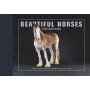 Beautiful Horses Postcard Book