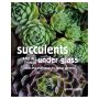 Succulents and All things Under Glass