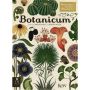 Welcome To The Museum: Botanicum