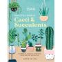 RHS The Little Book of Cacti & Succulents