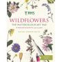 RHS Wildflowers Watercolour Art Pad