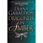 Dragonfly In Amber