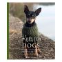 Knits for Dogs